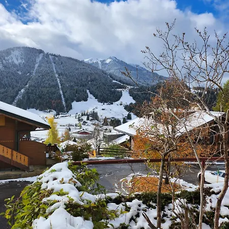 Delightful One Bedroom In Les Diablerets