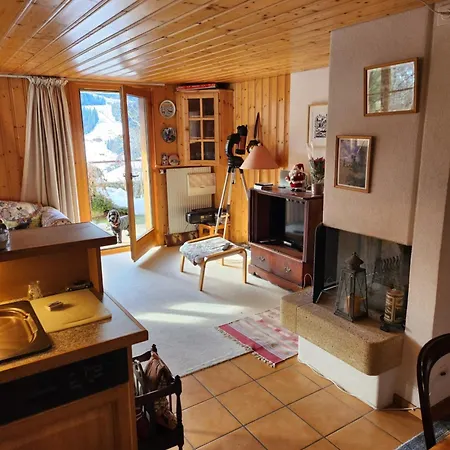 Delightful One Bedroom In Apartment Les Diablerets