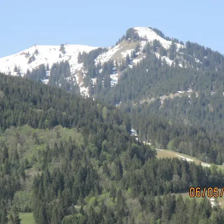 Delightful One Bedroom In