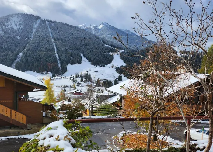 Delightful One Bedroom In Les Diablerets