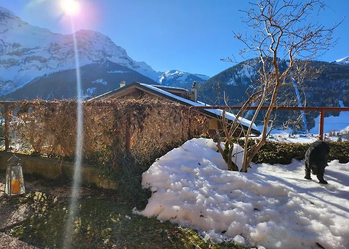 Delightful One Bedroom In