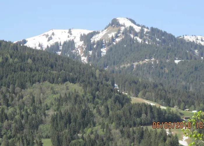 Delightful One Bedroom In