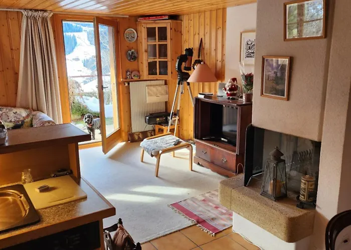 Delightful One Bedroom In アパート レ・ディアブルレ